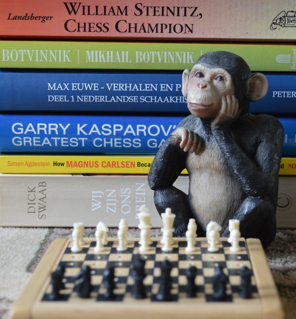 Onderscheiden Licht Seraph Overdenkingen van een schaakliefhebber (3) | Schaakvereniging  Caïssa-Eenhoorn